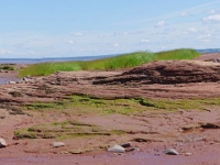 67057PaPeReCrLe - The mud flats at Evangeline Beach at low tide, Grand Pré, NS.jpg